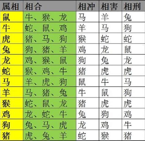 生肖相生|十二属相相生相克表